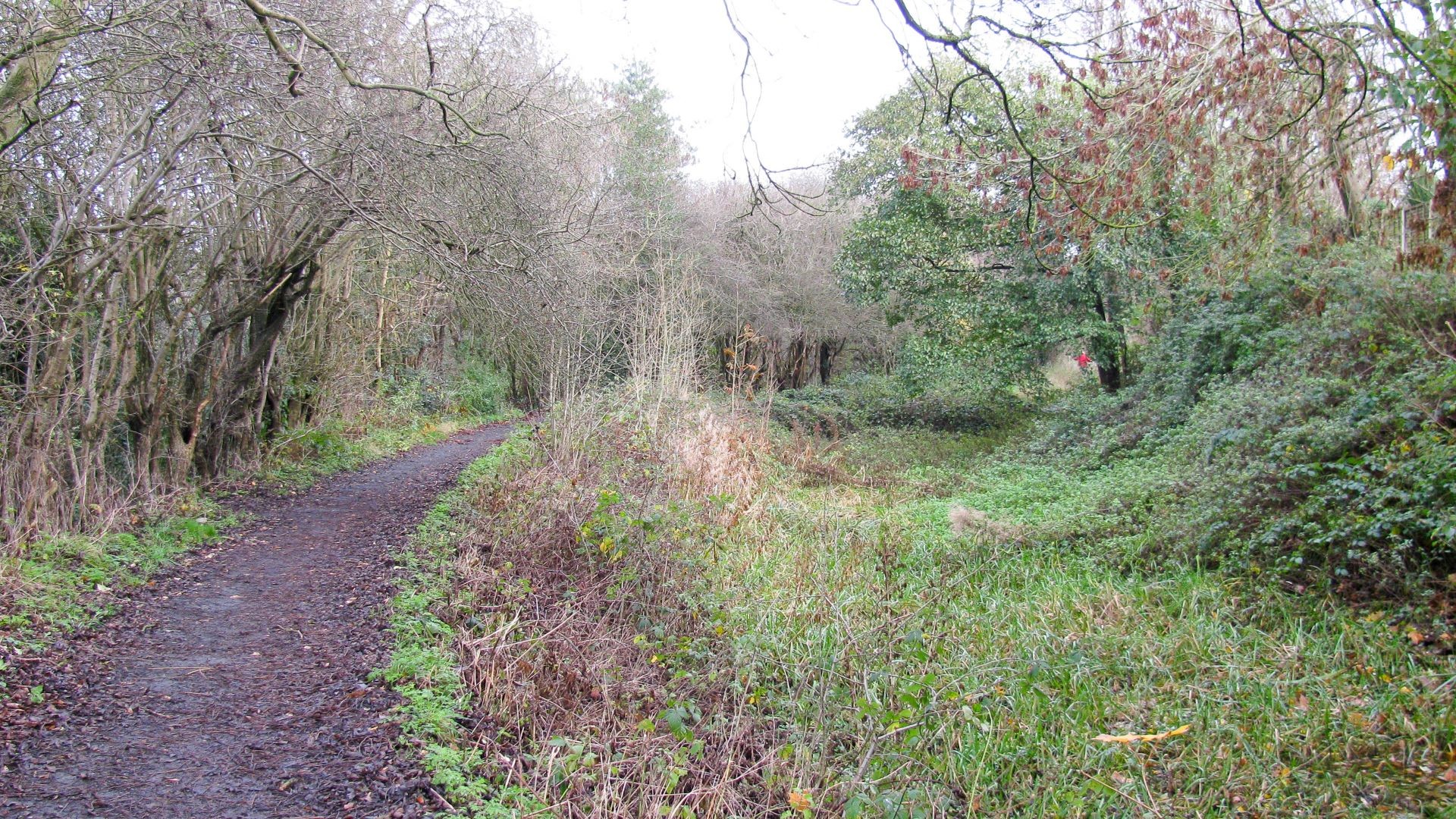Recognisable Lapal Canal