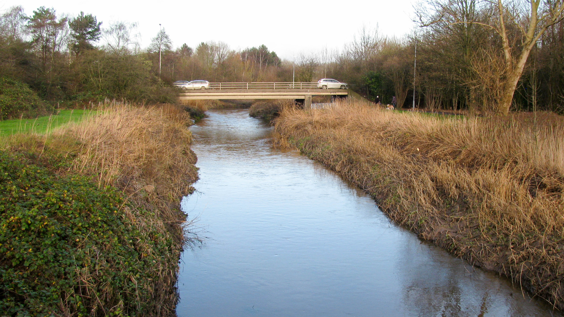 The Sankey Brook has been diverted onto the line of the canal in places