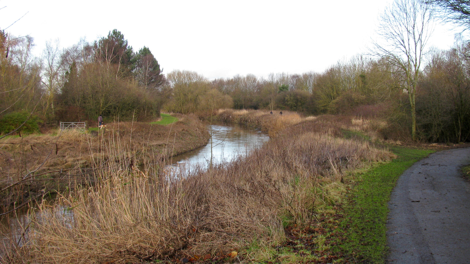 The Sankey Brook flows along the canal route in places