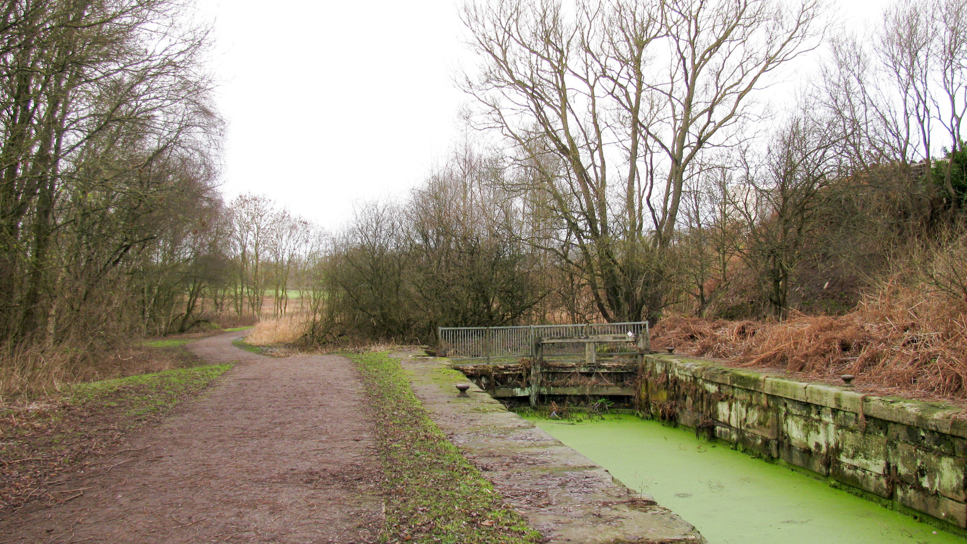 Sunken Ground above Bradley Lock