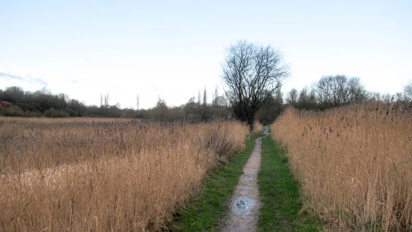 Crossing the Flood Plain
