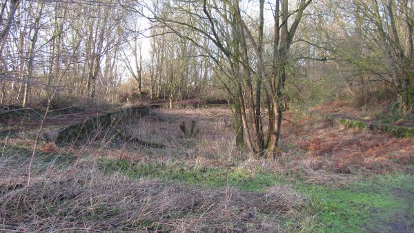 Broad Oak Basin