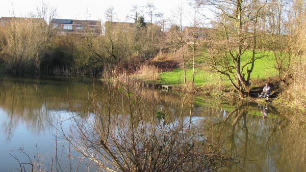 End of the Blackbrook Branch