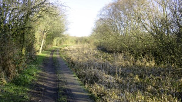 Hollinwood Canal awaiting restoration