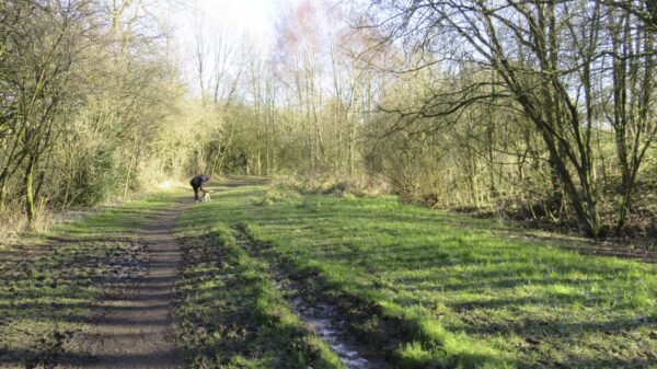 Identifiable Route of the Hollinwood Canal