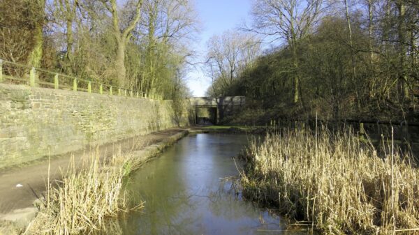 Water in the Hollinwood Canal