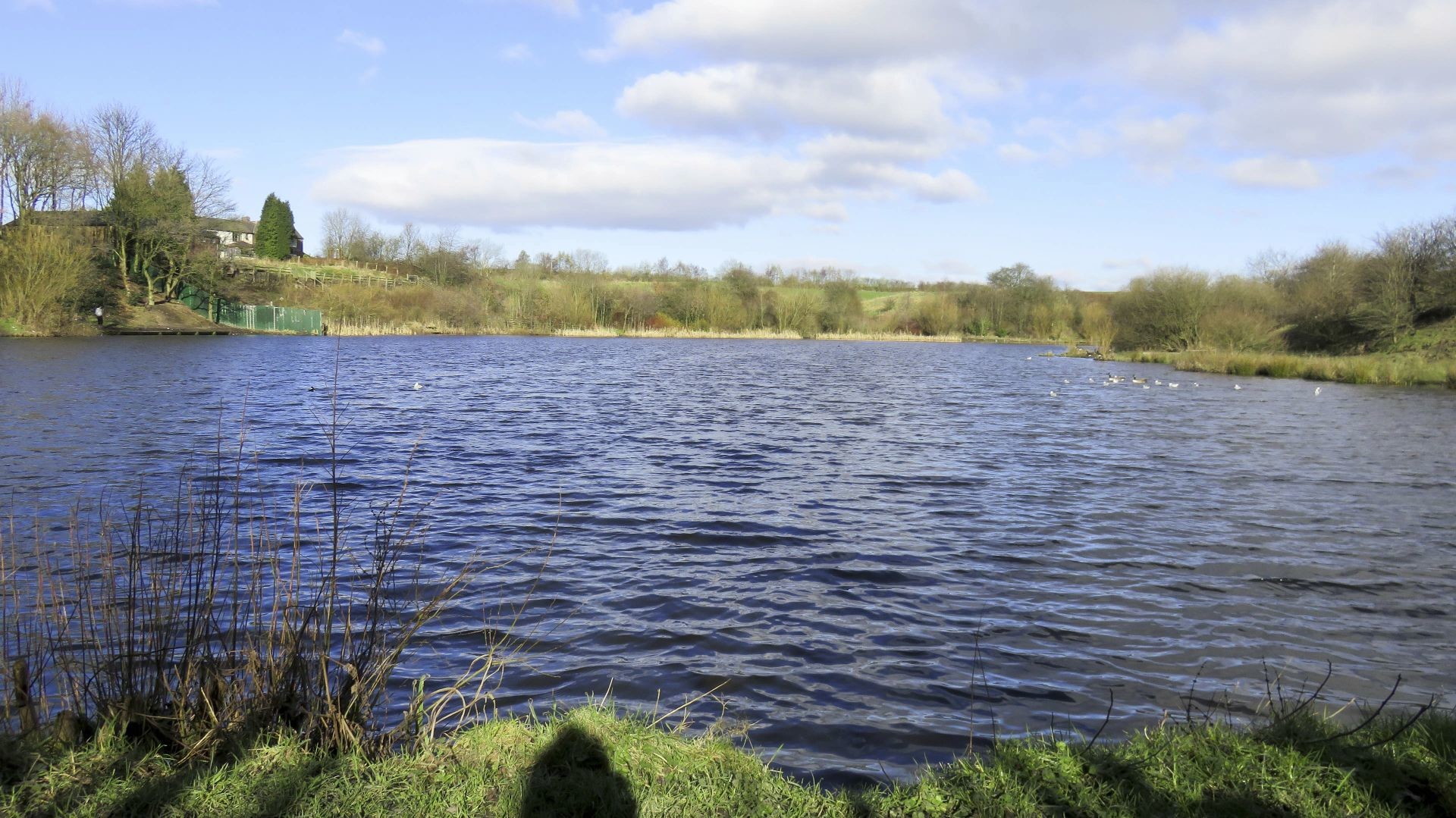 Crime Lake