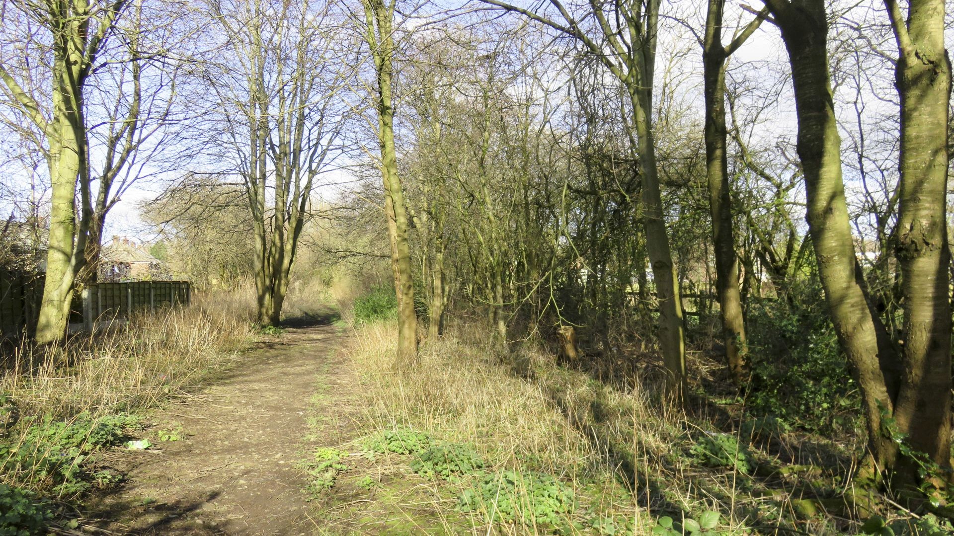 Finding the route