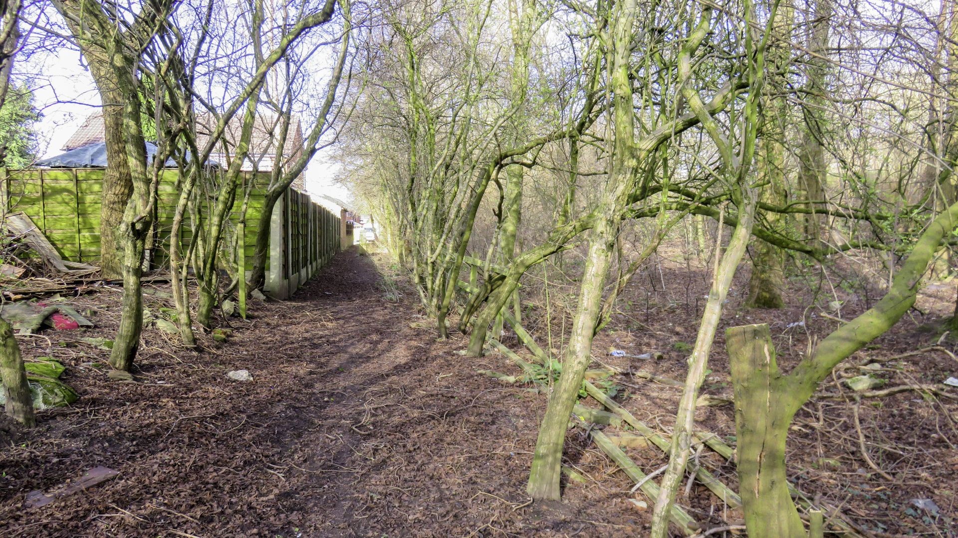 Modern housing diverts the path
