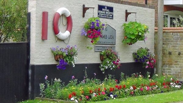 Thames Lock flowerbed.