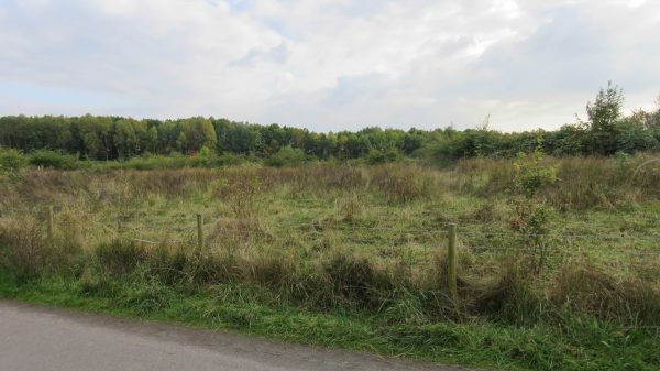 End of the Nutbrook Canal